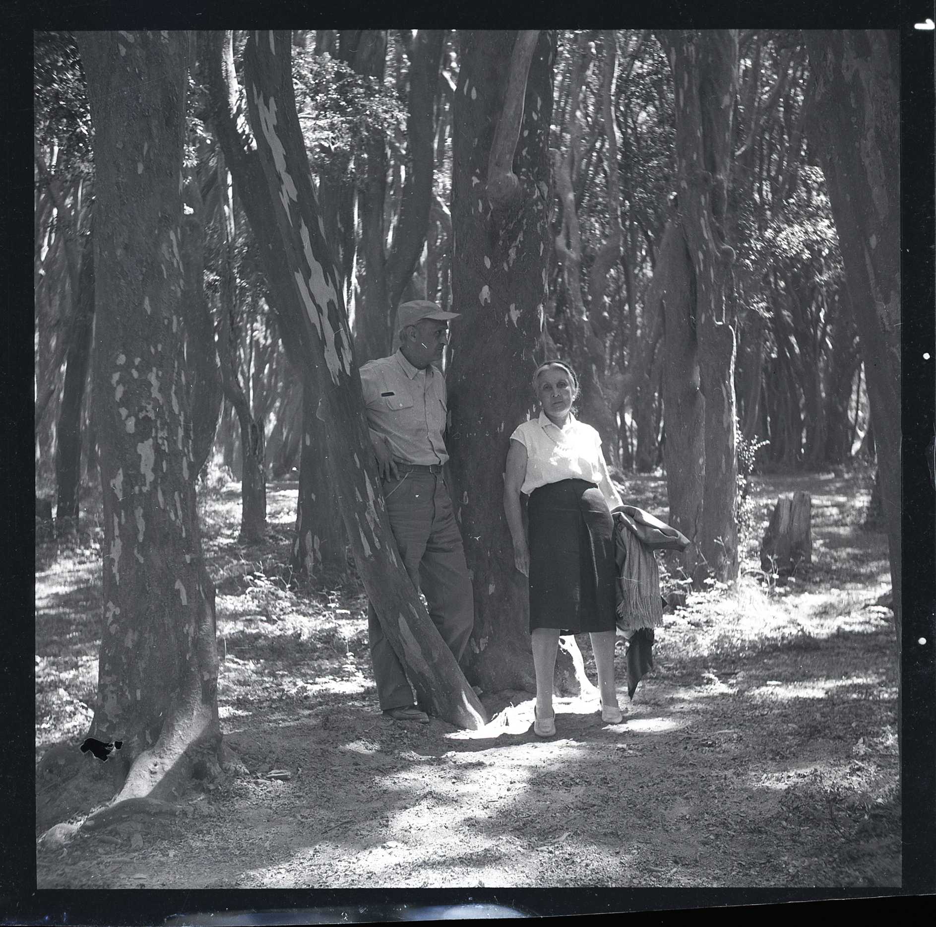 CORDOVA ITURBURU_Cayetano foto 7