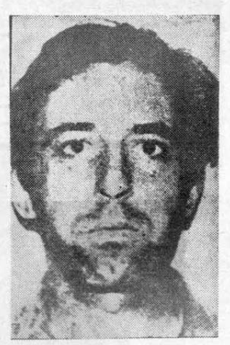 DELFINO_Mario foto 1