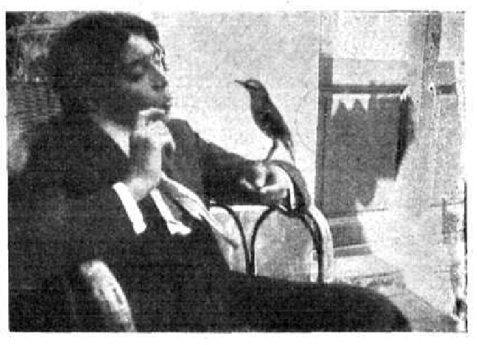 SÁNCHEZ_FLORENCIO foto 10