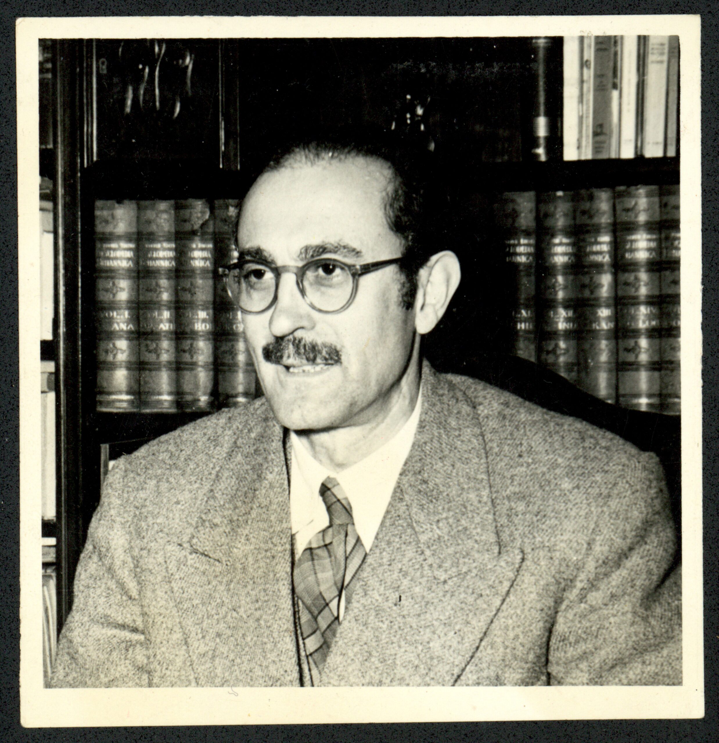 FRONDIZI_SIlvia foto 2