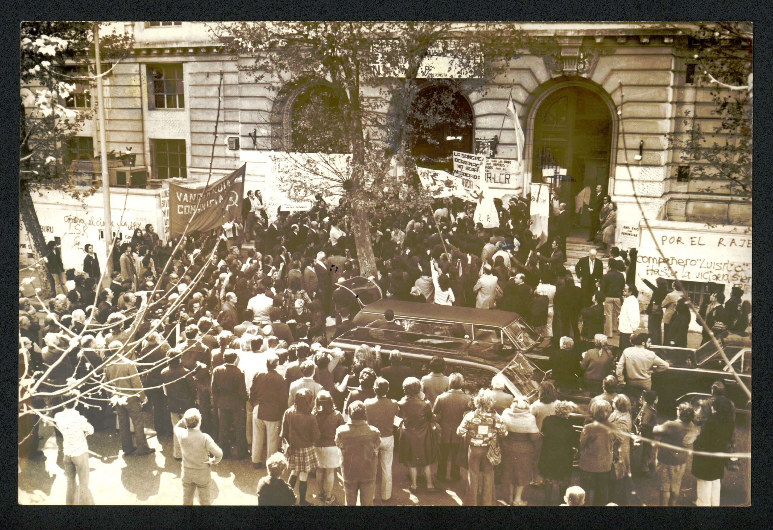 FRONDIZI_SIlvio foto 4