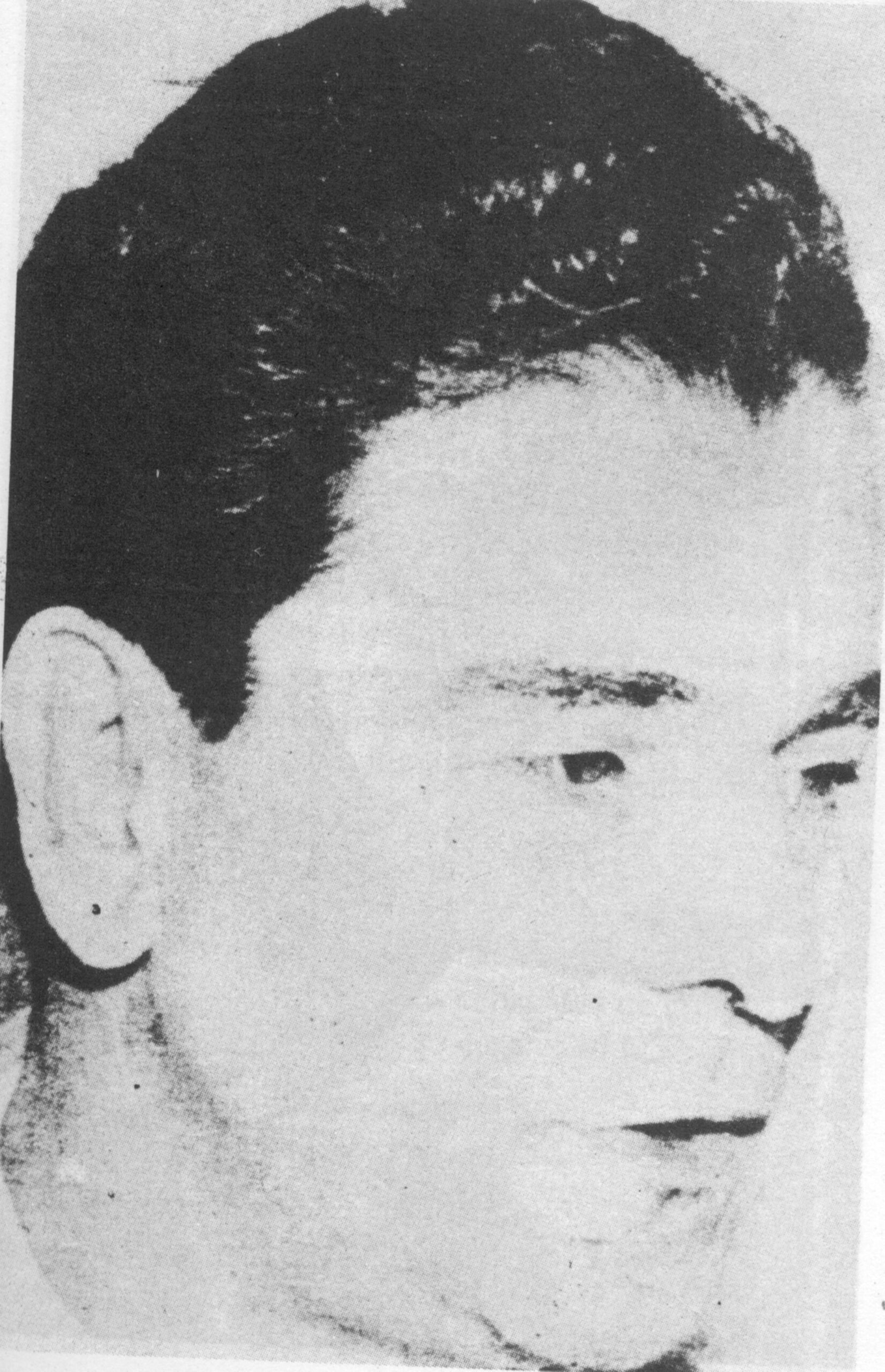 Troxler_Julio_DICC_HT_2007