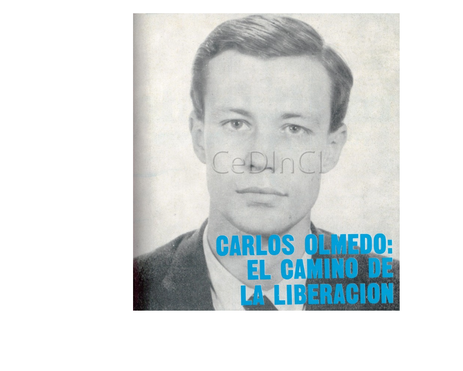 OLMEDO, Carlos_Retrato