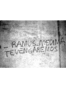 RAMUS, Carlos Gustavo 2